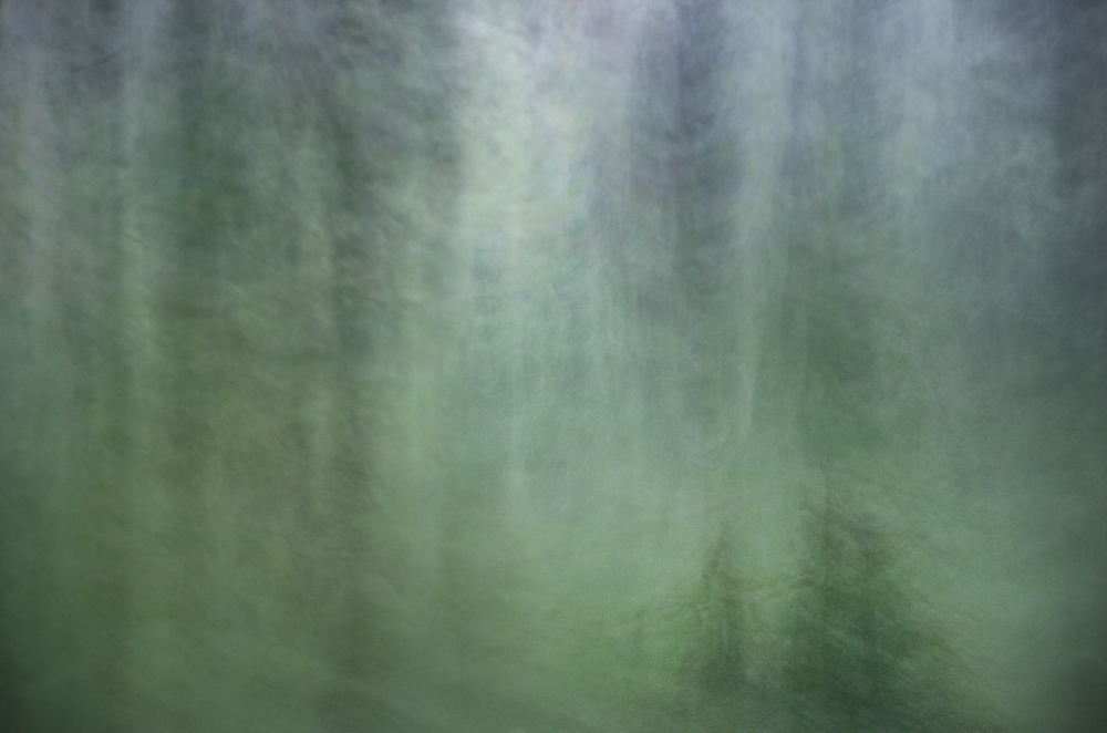 Olen turvassa Salaperäinen ja mystinen metsä.